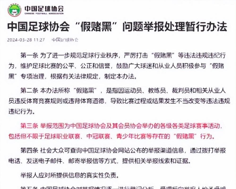 足球行业“假赌黑”问题专项整治行动发布，上海申花和海港俱乐部新赛季被罚分