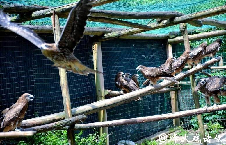 36胜负联盟垫底!顶薪双病号压身拒绝重建,老鹰成最大赢家 36胜负联盟垫底!顶薪双病号压身拒绝重建,老鹰成最大赢家